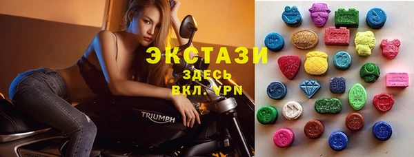 стафф Алексин