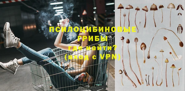 синтетический гашиш Алексеевка