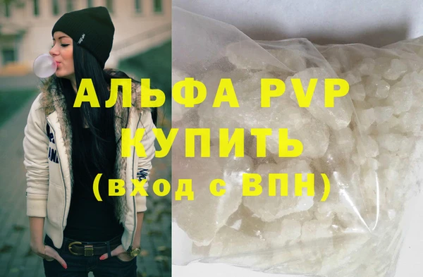 стафф Алексин