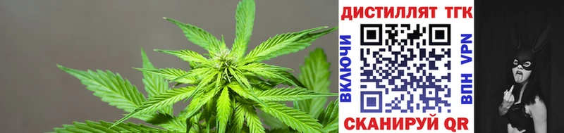 Дистиллят ТГК THC oil  купить наркотики сайты  kraken онион  Ишим 